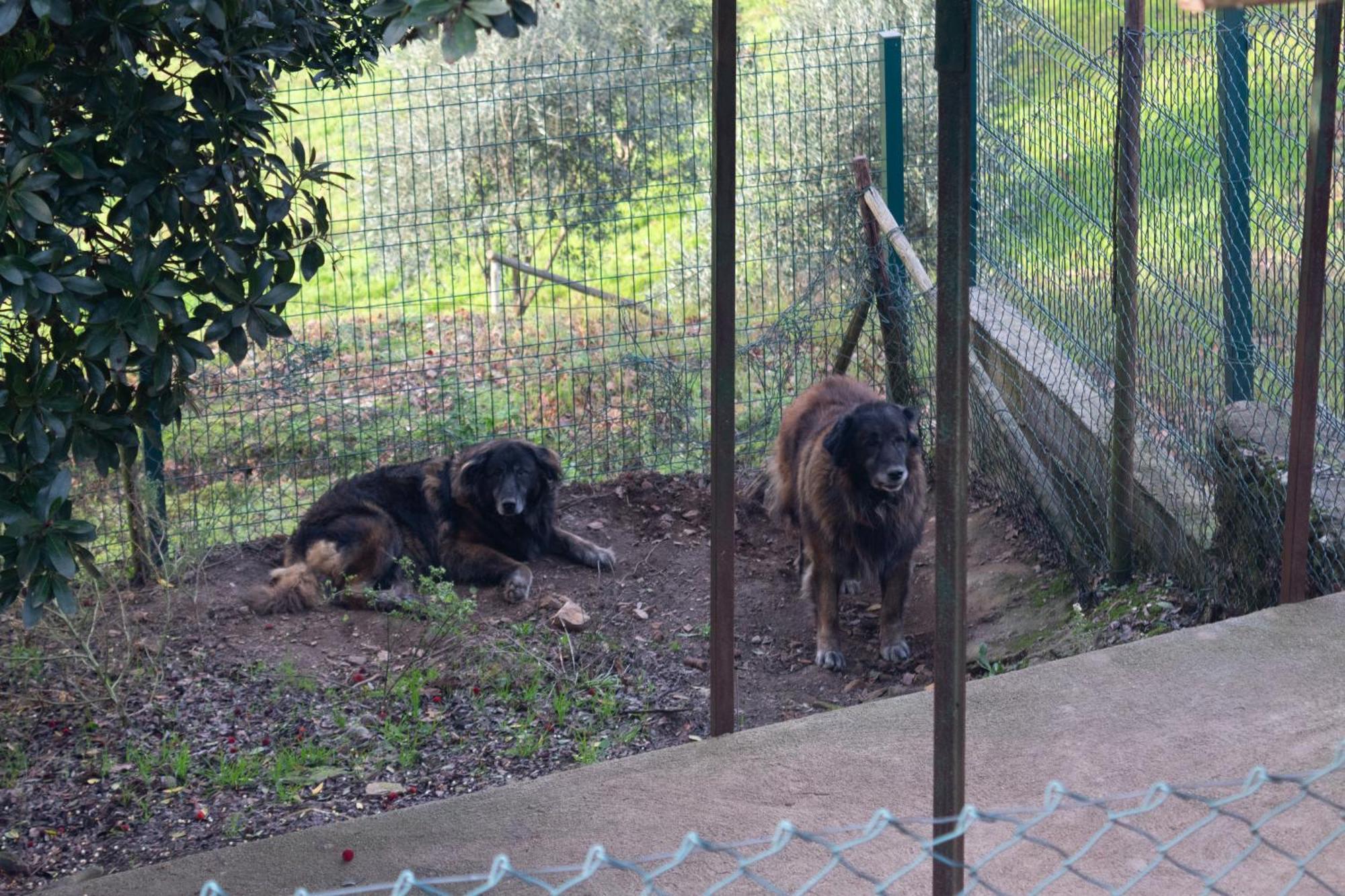 Ecofurtado Βίλα Εξωτερικό φωτογραφία