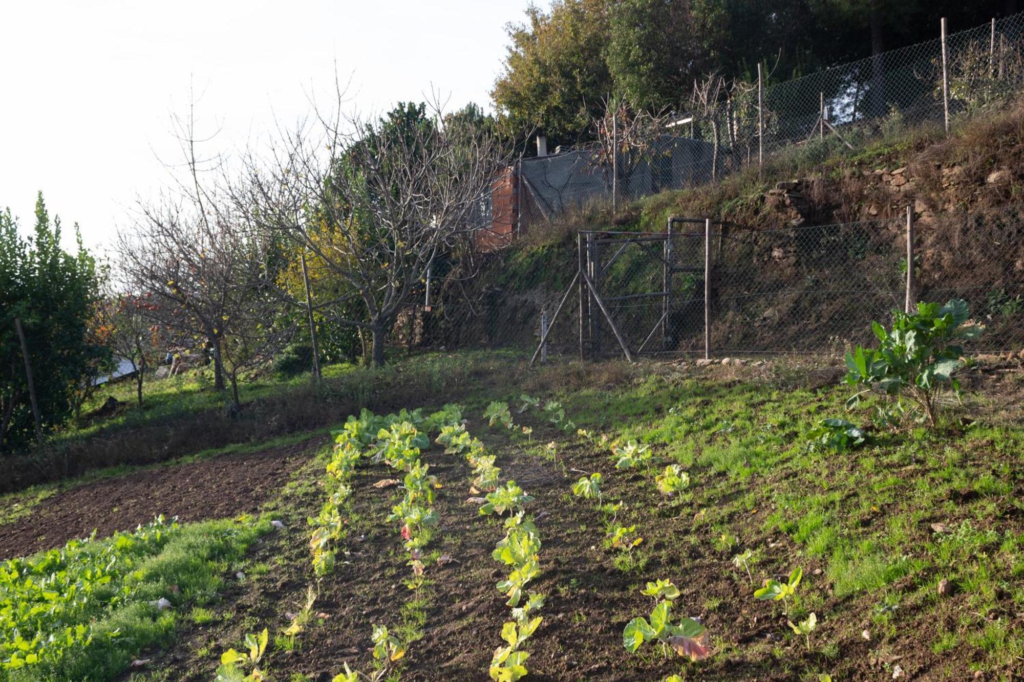 Ecofurtado Βίλα Εξωτερικό φωτογραφία